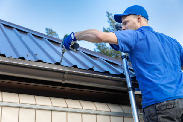 Best Gutter Replacement  in Alamo, TN