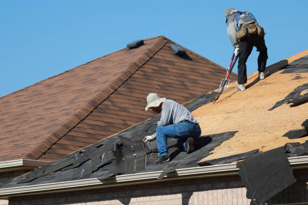 Best Roof Maintenance and Cleaning  in Alamo, TN