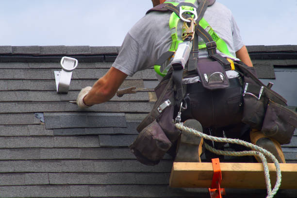 Best Storm Damage Roof Repair  in Alamo, TN