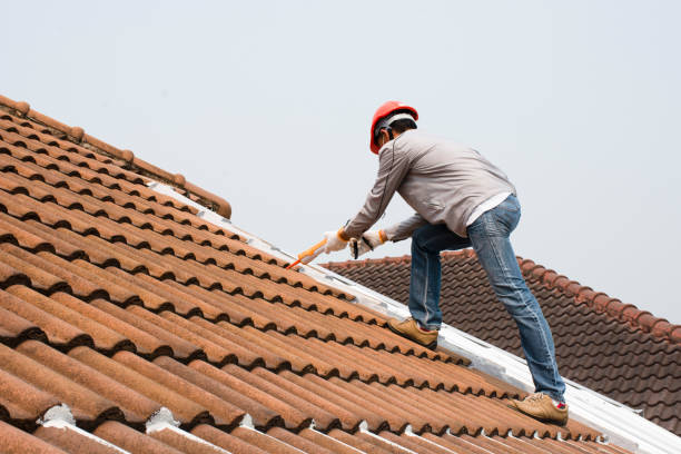 Best Wood Shake Roofing  in Alamo, TN