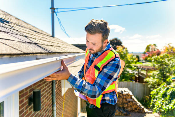 Best Roof Leak Repair  in Alamo, TN