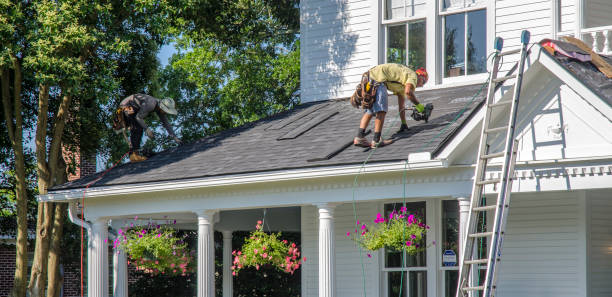 Best Gutter Installation and Repair  in Alamo, TN